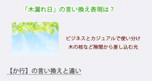 木漏れ日の言い換え表現は？ビジネス・カジュアル別に解説！