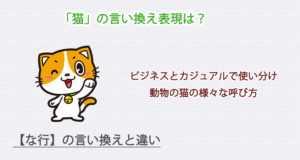 「猫」の言い換え表現は？ビジネス・カジュアル別に解説！